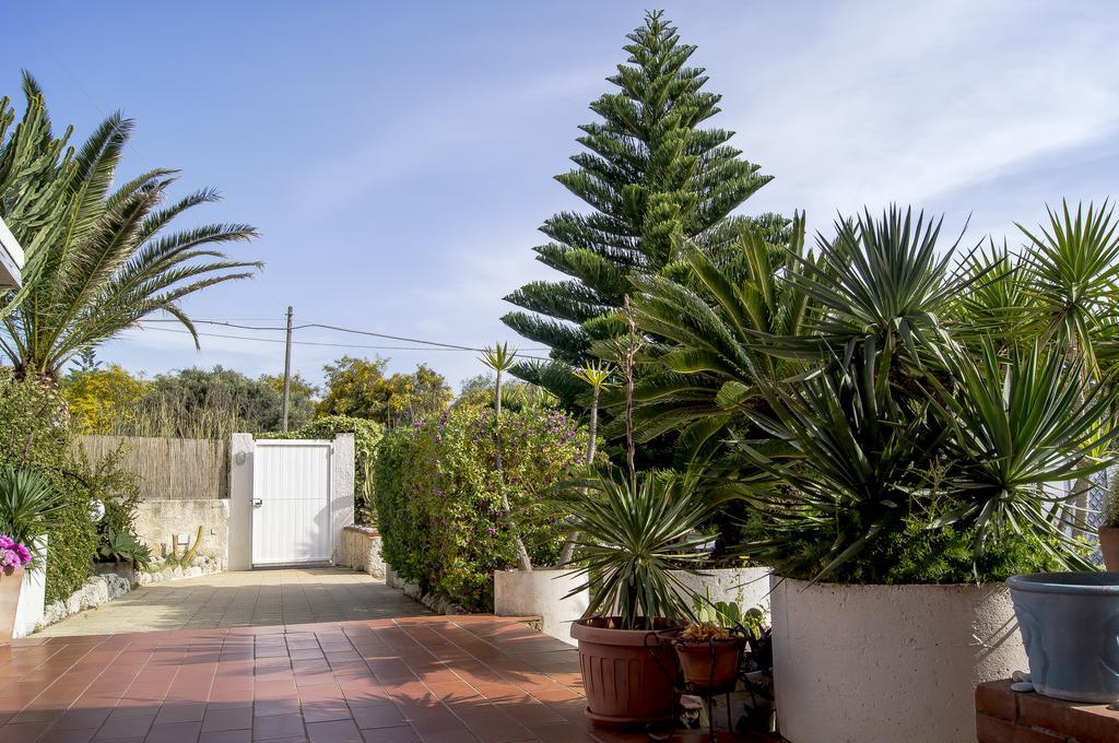 Villa Cetta B&B San Leone Ngoại thất bức ảnh
